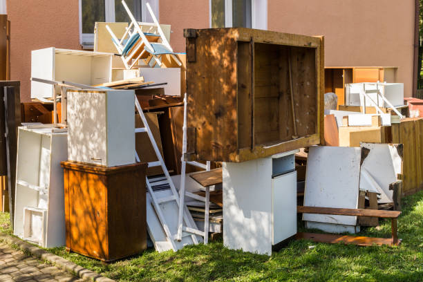 Best Shed Removal  in Despard, WV