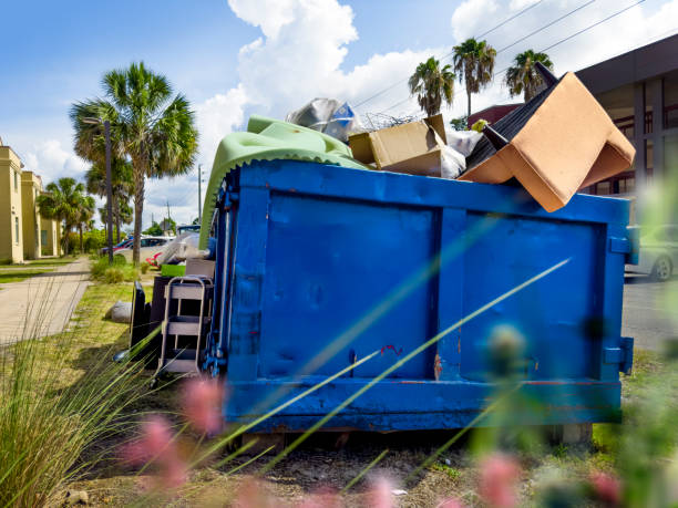 Best Demolition Debris Removal  in Despard, WV