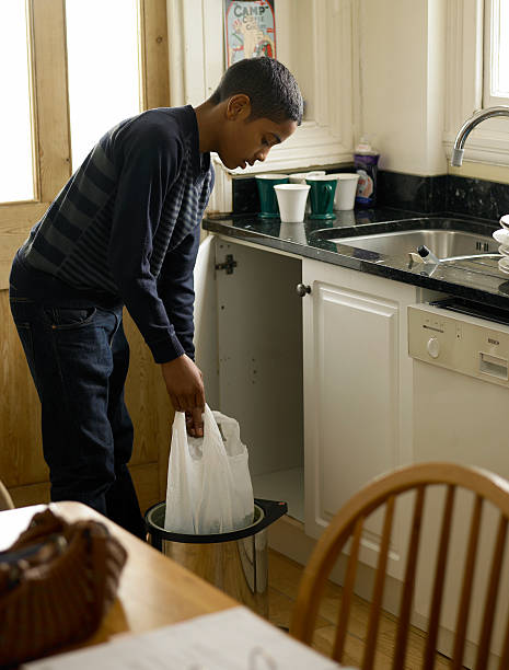 Reliable Despard, WV Junk Removal Services Solutions